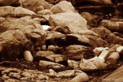 junkyard-memories-002-1024x575-1024x575