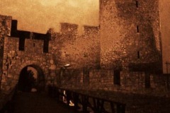 junkyard-memories-0081